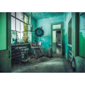 Ravensburger - Puzzle Lost Places: Asylum - 1 000 piese