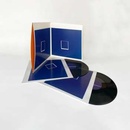 Underworld Beaucoup Fish 2 LP