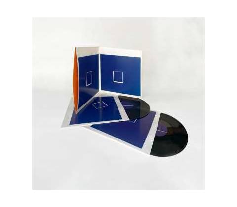 Underworld Beaucoup Fish 2 LP
