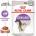 Royal Canin FHN Sterilised gravy 85 g
