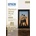 Epson S042154