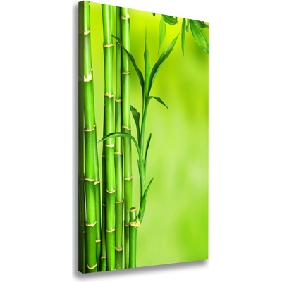 Vertikálny moderný fotoobraz canvas na ráme Bambus 50x100 cm