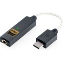 iFi GO link