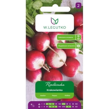 W. Legutko Краковска репичка - кръгла, червена и бяла