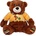 Амек Тойс Плюшена играчка Амек Тойс - Мече с блуза, 35 cm (10145)