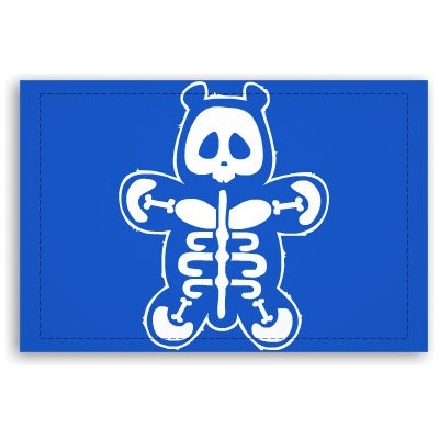 Fotoobraz 60x40 cm malý Panda rentgen