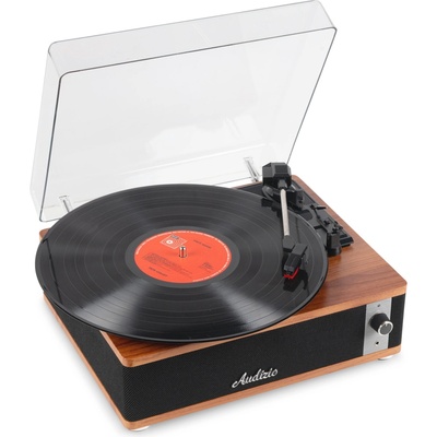 Audizio Irvine