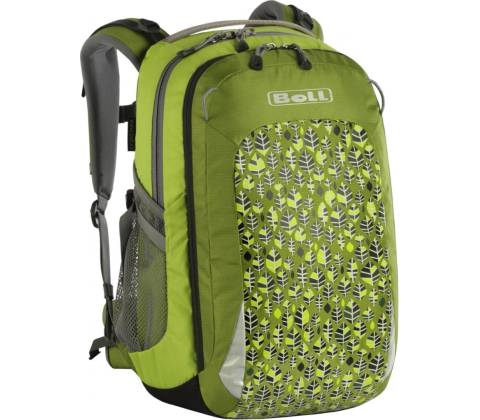 Boll SMART 24 Leaves cedar