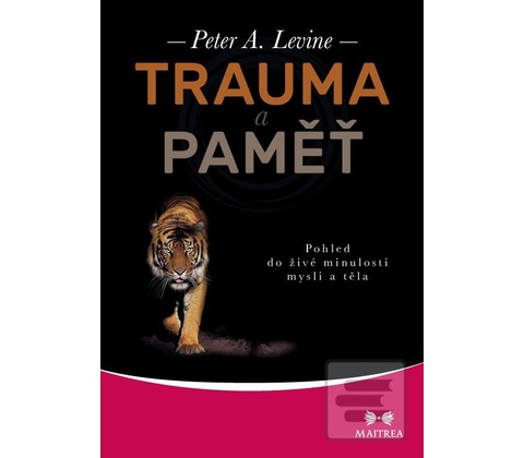 Trauma a paměť
