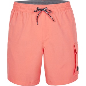 O'Neill All day 17'' hybrid shorts s