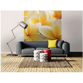 DIMEX ART s. r. o Флизелинов фототапет плумерия 225 x 250 см