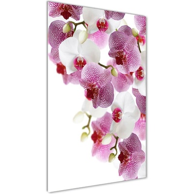 Vertikálny foto obraz sklenený Orchidea 50x100 cm