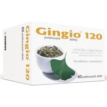 Gingio 120 filmom obalené tablety tbl.flm.60 x 120 mg