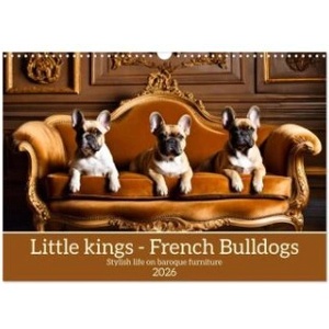 Calvendo Little kings - French Bulldogs (Wall Calendar 2026 DIN A3 landscape), CALVENDO 12 Month Wall Calendar | Calvendo, Claudia Kleemann