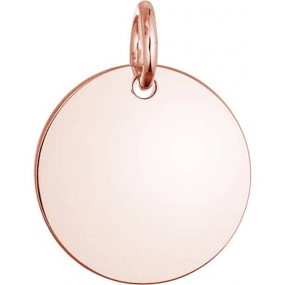 Evolution Group Pozlacený stříbrný přívěsek placička větší 64093 rose gold