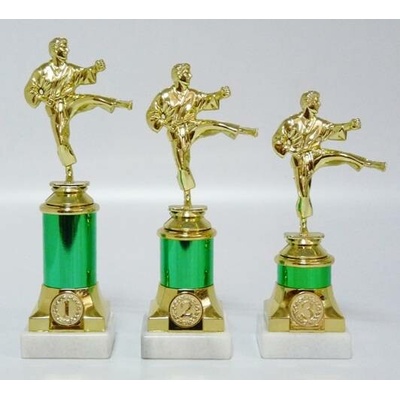 VIZINGR Karate trofeje MUŽ 31-F10 21 cm