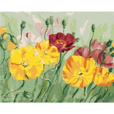 zuty Malování Podle Čísel Barevný Vlčí Mák 40 x 50 Cm Plátno Rám