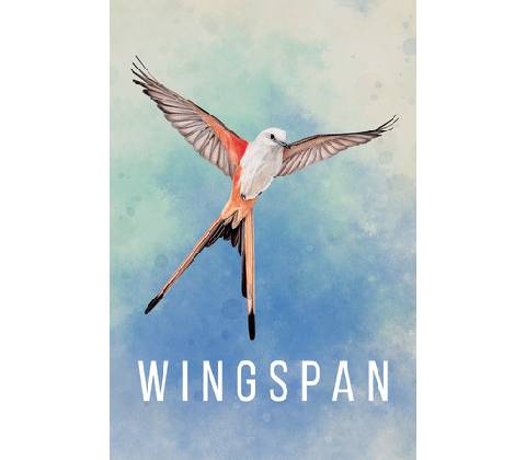 Wingspan