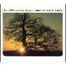 MOUNTAIN GOATS: SUNSET TREE LP