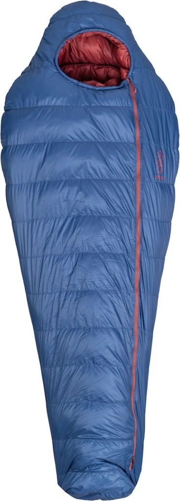 Patizon D 290