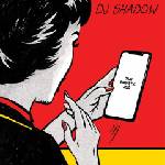 Universal DJ Shadow: Our Pathetic Age - CD (029904)