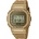 Casio DWE-5600HG-1ER