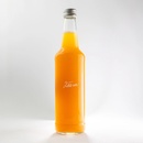 Hollinger Sirup zázvorový 0,5 l