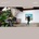 DIRTY PROJECTORS - 5EPS CD