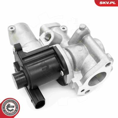 AGR - Ventil ESEN SKV 14SKV253