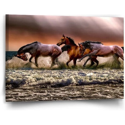 Sablio Obraz Kone vo vode - 90x60 cm