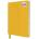 Flame Tree Publishing Sunny Yellow Blank Artisan Notebook (Flame Tree Journals) | Flame Tree Studio