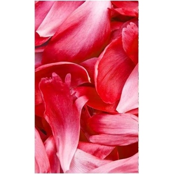 DIMEX ART s. r. o Флизелинов фототапет червени венчелистчета 150 x 250 см