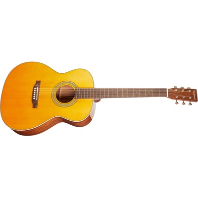 TANGLEWOOD TW40OANE