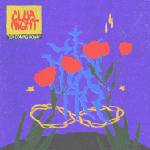 Club Night - Joy Coming Down (Limited Edition) (LP) (0634457209381)