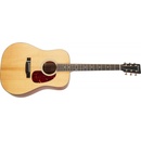 Eastman E1D