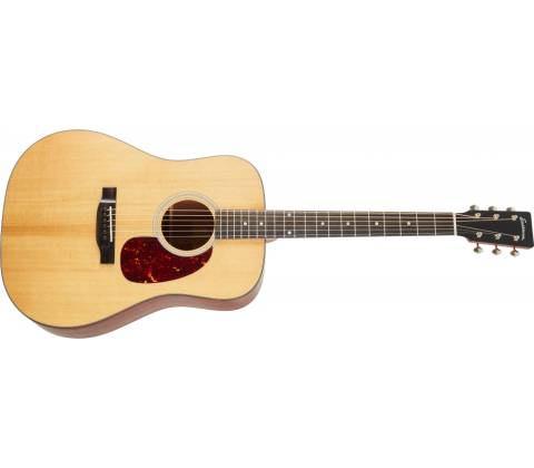 Eastman E1D
