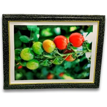 Image 1 of Quanzhou Yixin Commerce & Trade Co. , Ltd КАРТИНА МЕКА 48/36.5 см