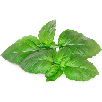 Click & Grow Семена Click and Grow Марсилски босилек, 3 броя (SGR99X3)