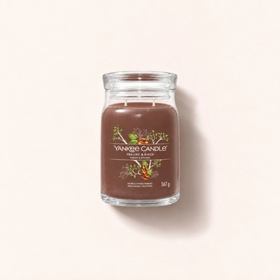 Yankee Candle Signature Praline & Birch 567 g