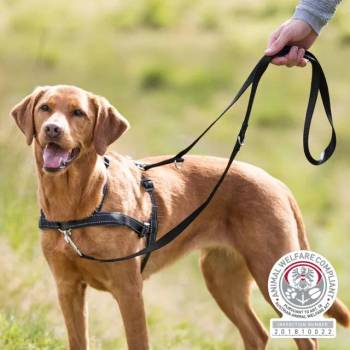 TRIXIE Training Harness Lead'n'Walk Soft Medium - Large - Регулируем тренировъчен повод/ колан за кучета, с неопренова подплата, 55-60 см. - черен