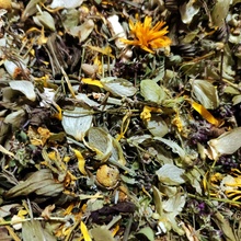Herbarium Projekt TRÁVENIE liečivé rastliny v čajovej zmesi 30 g