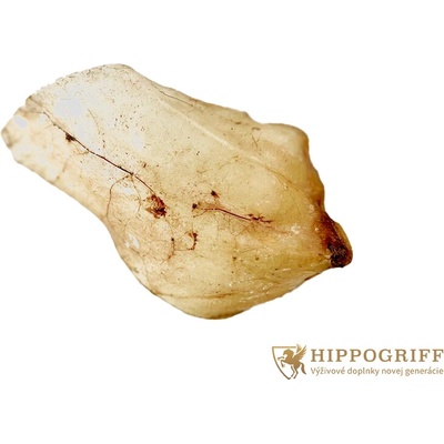Hippogriff Hovädzie ucho 28 g