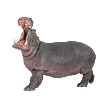 Image 1 of Papo - Фигурка за колекциониране и игра - Хипопотам (50051)