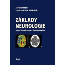 Základy neurologie