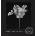 Mapplethorpe Flora