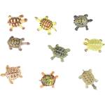 Rappa Комплект фигурки Rappa - Костенурки, 9 броя, 4-5 cm (380049)