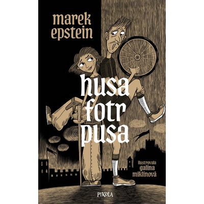 Husa fotr pusa