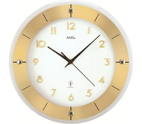 AMS 5850