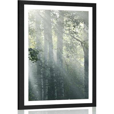 Plakát s paspartou sluneční paprsky v mlhavém lese - 40x60 black