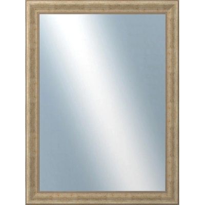 DANTIK KŘÍDLO 60x80 cm strieborné 2775